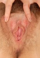 ATK Natural & Hairy: Tea (Tea in scary hairy)