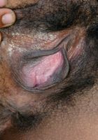 ATK Exotics: Terrari (Terrari in black women)