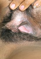 ATK Exotics: Terrari (Terrari in black women)