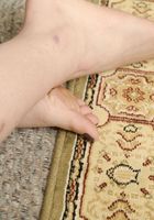 ATK Exotics: Tera (Tera in toys)