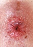 ATK Galleria: Tess Thompson (Tess Thompson shows a little flexibility)