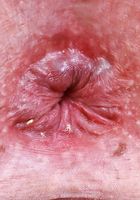 Tess Thompson from ATK Galleria