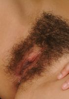 ATK Exotics: Tiffany (Tiffany in asians)