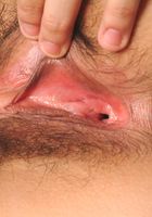 ATK Exotics: Tiffany (Tiffany in asians)