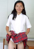 ATK Exotics: Tiffany (Tiffany in asians)