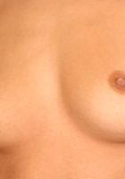 ATK Exotics: Tiffany (Tiffany in mediterranean)