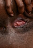 ATK Exotics: Tiffany Tailor (Tiffany Tailor, the Spreading Queen!)