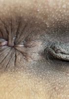 ATK Petites: Tifa Quinn (Tifa Quinn BTS Spreading)