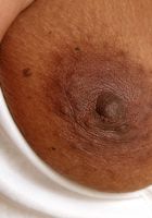 ATK Exotics: Toni (Toni is one sexy black babe)