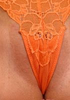 ATK Archives: Torrie (Torrie in)