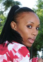 Treetree from ATK Exotics