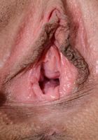 ATK Premium: Vanna Bardot (Vanna Bardot in lingerie)