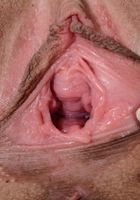 ATK Petites: Vanna Bardot (Vanna Bardot in lingerie)