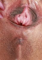 ATK Petites: Vanessa Vox (Vanessa Vox Sexy Strip)