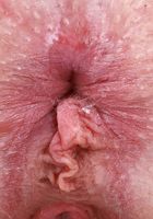 ATK Petites: Venus Vixen (Venus Vixen Spreads Up Close)