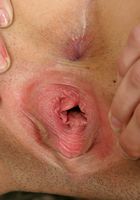 ATK Exotics: Veronica (Veronica in mediterranean)