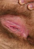 Naughty blonde amateur Veronica strips and spreads her hairy pussy, Veronica (ver042) ATK Archives: Veronica (Naughty blonde amateur Veronica strips and spreads her hairy pussy)