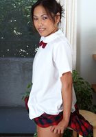 ATK Exotics: Veronica (Veronica in asians)