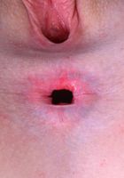 ATK Petites: Peyton Coast (Peyton Coast Upskirt and Panties)