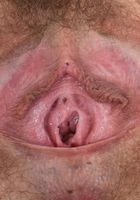 ATK Natural & Hairy: Rose Vermillion (Rose Vermillion in young and hairy)