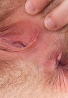 ATK Exotics: Veronica Valentine (Veronica Valentine in latinas)