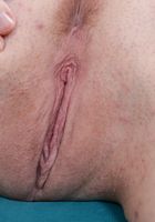 ATK Exotics: Veronica Valentine (Veronica Valentine in latinas)