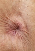 ATK Exotics: Victoria Voxxx (Victoria Voxxx in latinas)