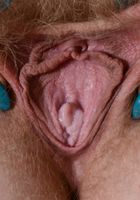 ATK Natural & Hairy: Vestacia JonQuil (Vestacia JonQuil in young and hairy)