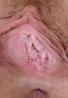 ATK Natural & Hairy: Vestacia JonQuil (Vestacia JonQuil in young and hairy)