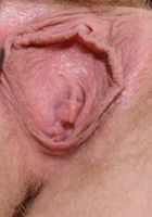 ATK Natural & Hairy: Vestacia JonQuil (Vestacia JonQuil in scary hairy)