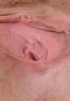 ATK Natural & Hairy: Vestacia JonQuil (Vestacia JonQuil in scary hairy)