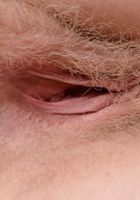 ATK Natural & Hairy: Vestacia JonQuil (Vestacia JonQuil in scary hairy)