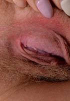 ATK Natural & Hairy: Vestacia JonQuil (Hairy Goddess Vestacia Jon-quil)