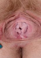 ATK Natural & Hairy: Vestacia JonQuil (Vestacia JonQuil in young and hairy)