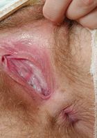 ATK Archives: Victoria (Victoria in upskirts and panties)