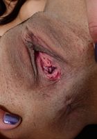 ATK Exotics: Vienna Black (Vienna Black in latinas)