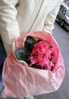 ATK Premium: Viktoria (Viktoria in candid)