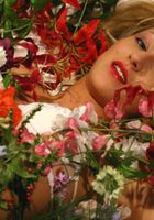 ATK Premium: Viktoria (Viktoria in artistic)