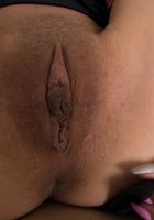 ATK Exotics: Vina Sky (Vina Sky in asians)