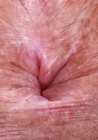 Violet Viper from ATK Natural & Hairy