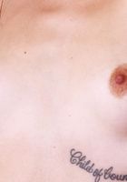 Violet Viper from ATK Natural & Hairy