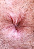 ATK Natural & Hairy: Violet Viper (Violet Viper is here to please)