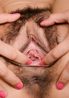 ATK Natural & Hairy: Vivi Marie (Hairy Latina Vivi spreads her bush)