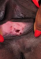 Ebony Leah spreads her legs, Leah (whi004) ATK Petites: Leah (Ebony Leah spreads her legs)