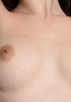 ATK Galleria: Willow Hayes (Naughty beauty Willow teases and spreads her pussy)