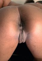 ATK Exotics: Wish (Wish in toys)