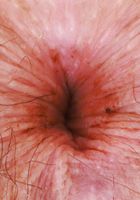 ATK Natural & Hairy: Wookie Princess (Wookie Princess Pregnant)