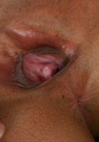 Yanikcia from ATK Exotics