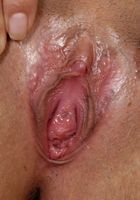 ATK Exotics: Yasmin (Yasmin in mediterranean)