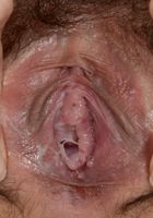 ATK Petites: Yukina Kaname (Yukina Kaname in exotic and hairy)